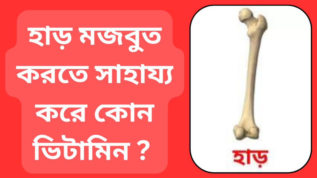 হাড় মজবুত করতে সাহায্য করে কোন ভিটামিন।