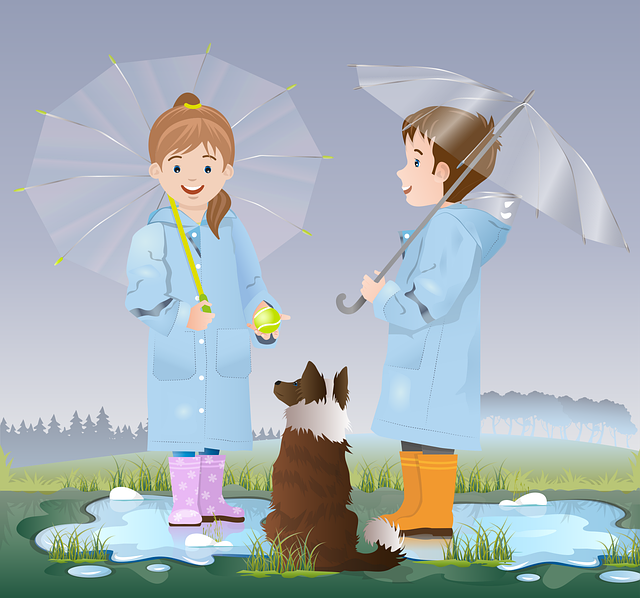 5 best insurances that cover your sister & your family